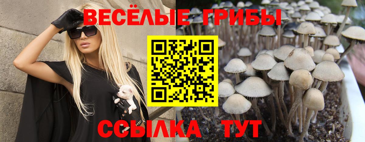 Псилоцибиновые грибы Psilocybe  Вход с VPN  Галлюциногенные грибы мухоморы  Воскресенск 